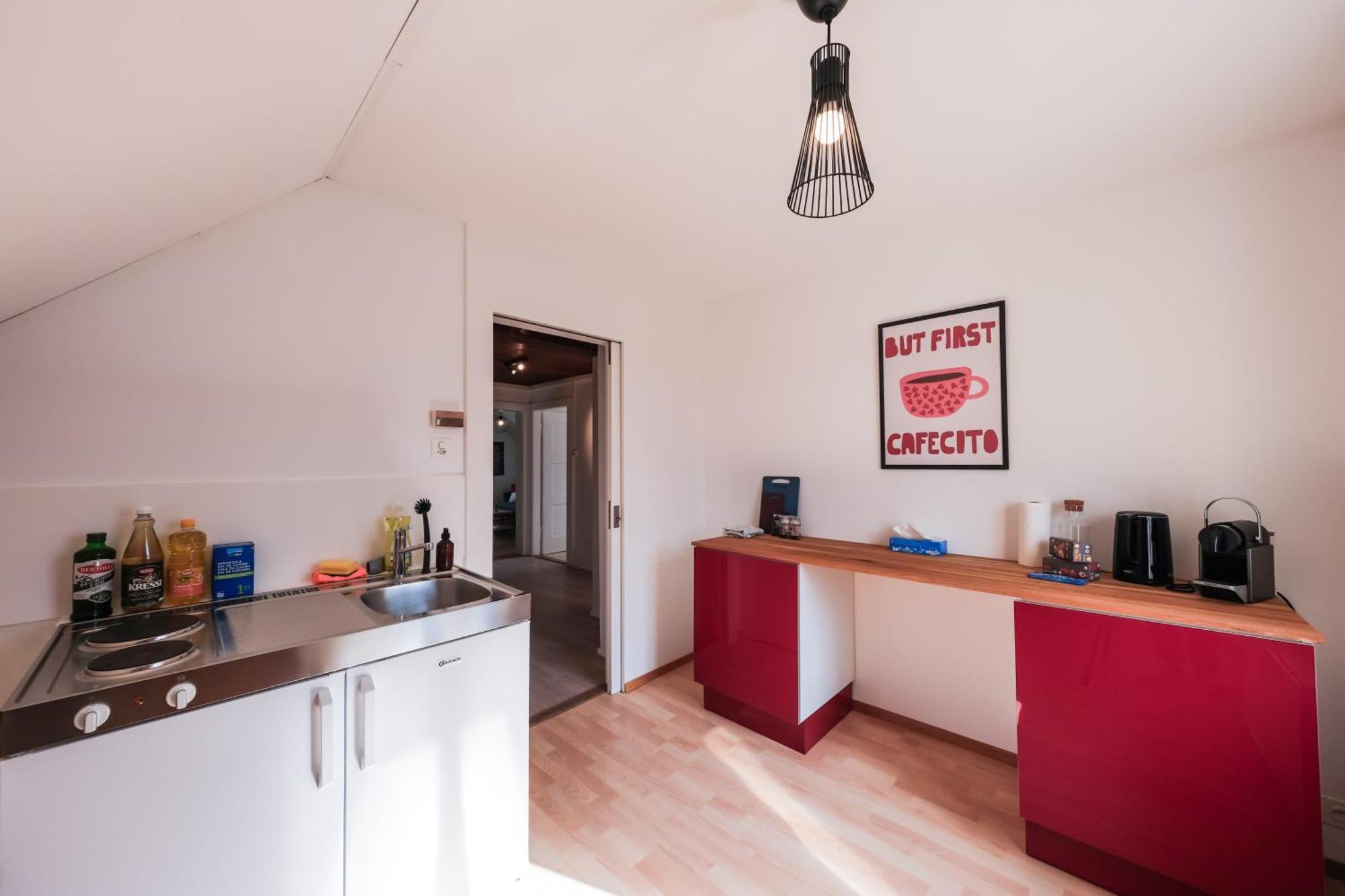 Boutique Apartment Lakeview Luzern 3 Dış mekan fotoğraf